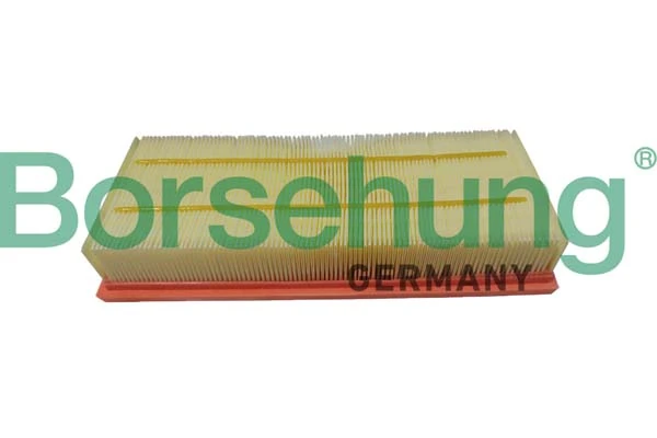 B12403 Borsehung