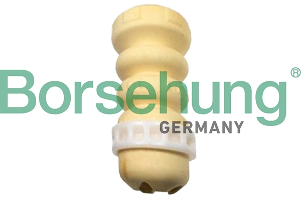 B10014 Borsehung