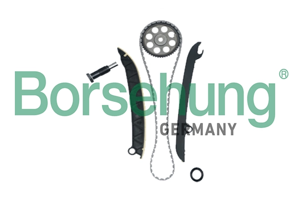 B18977 Borsehung