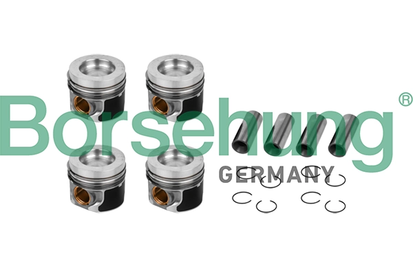 B11132 Borsehung