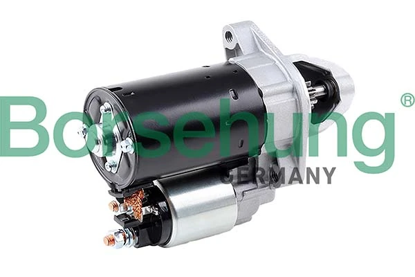 B12031 Borsehung