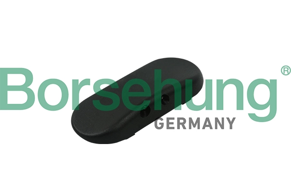 B18497 Borsehung