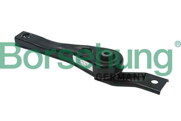 B18517 Borsehung