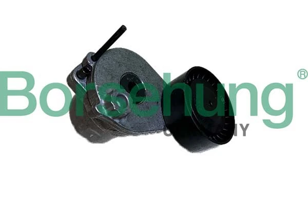 B12467 Borsehung