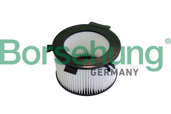 B10549 Borsehung