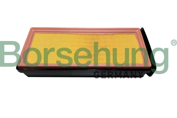 B12459 Borsehung