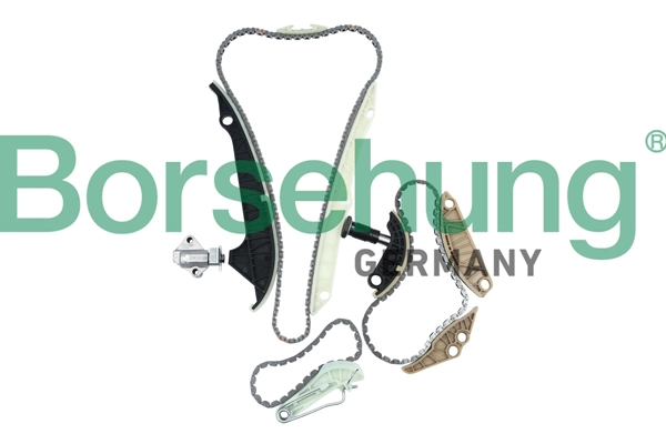 B10223 Borsehung