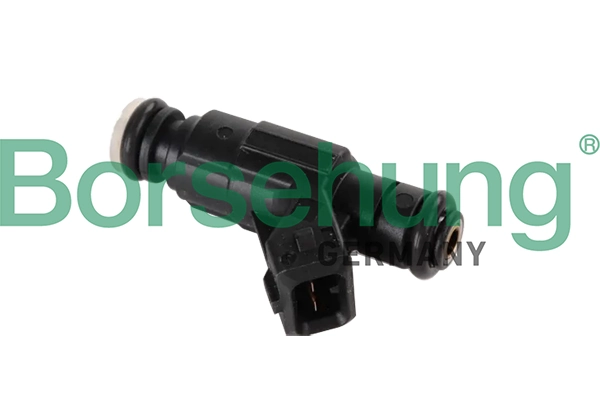 B11164 Borsehung