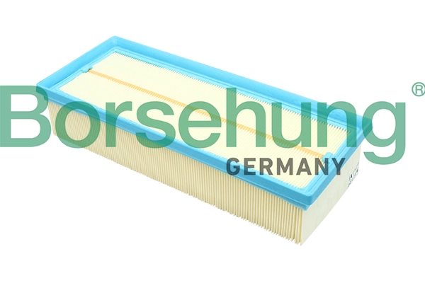 B12811 Borsehung