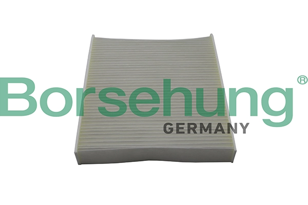 B10514 Borsehung