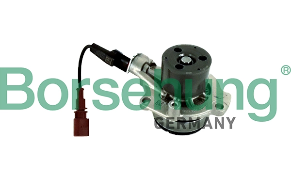 B11224 Borsehung