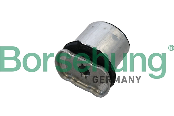 B19196 Borsehung
