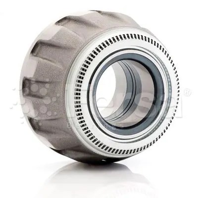 20764313 Volvo Cubo traseiro