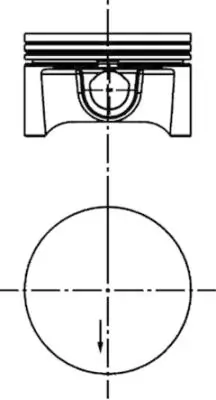 WG1016591 Wilmink Group