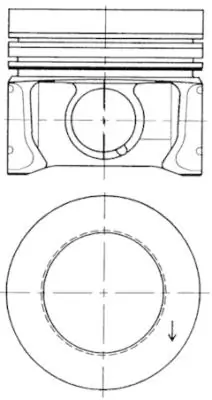 WG1016775 Wilmink Group