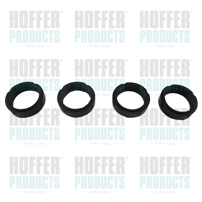 Kit de reparação do injetor Peugeot/Citroen 90502704