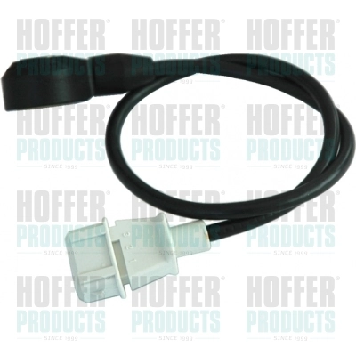 Compre Sensor de detonação Ford Galaxy 