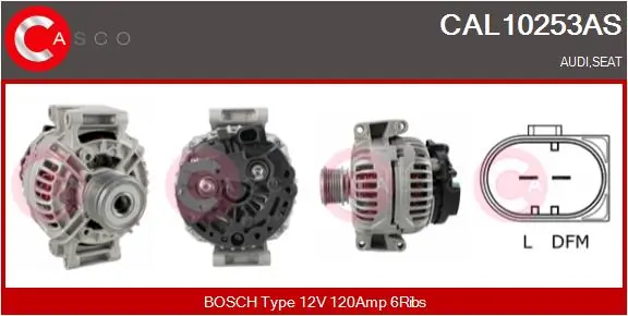 CAL10253AS Casco