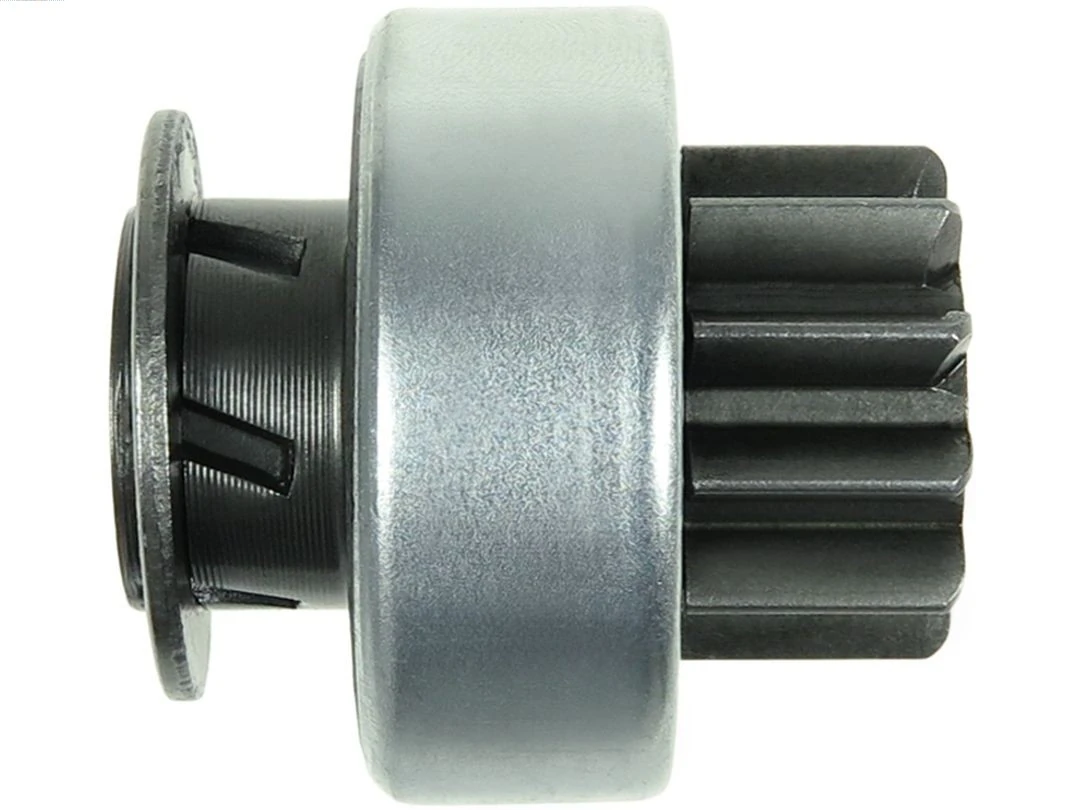 SD1013 As-pl