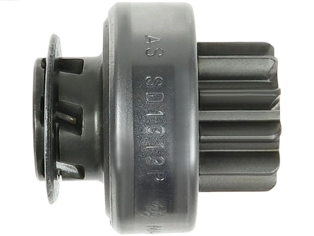 SD1013P As-pl