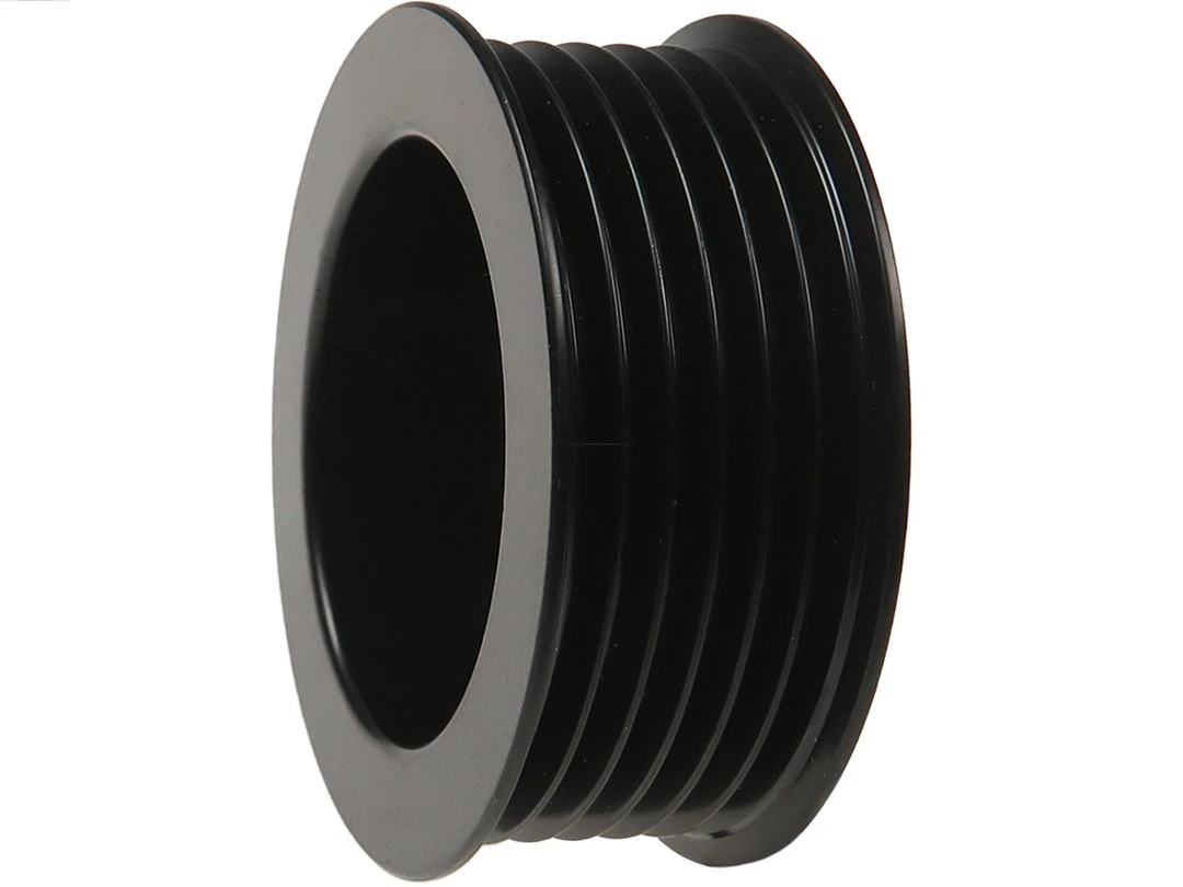 AP2009S As-pl
