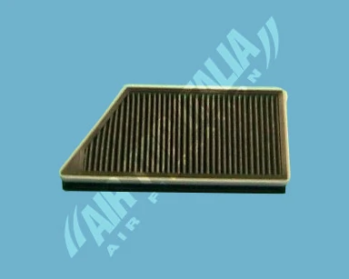AS2397 Aster