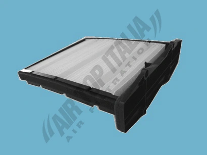 ASF2337 Aster