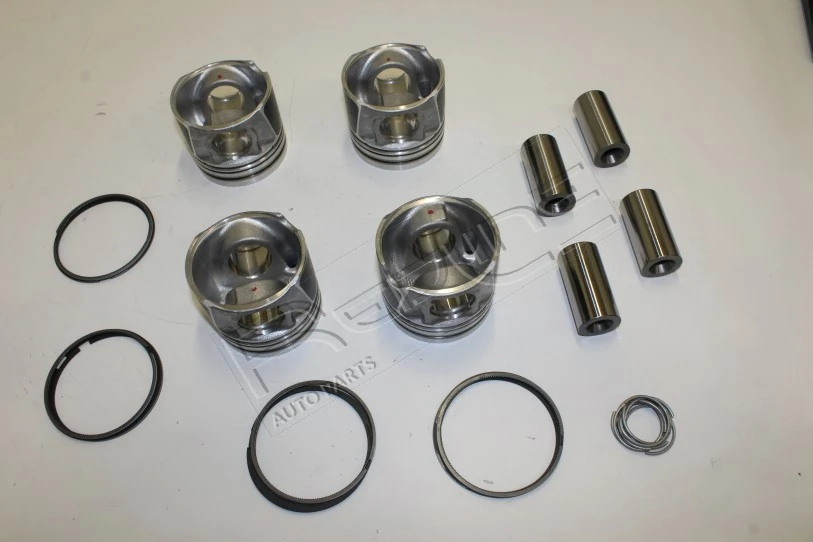 20NI101 RED Line OIL