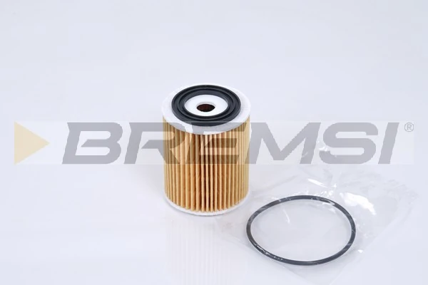 FL0269 Bremsi