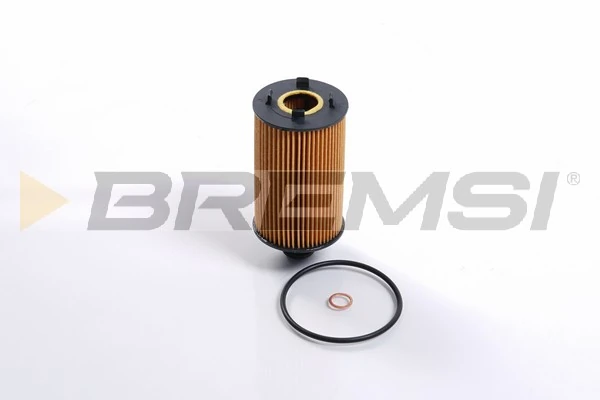 FL0729 Bremsi