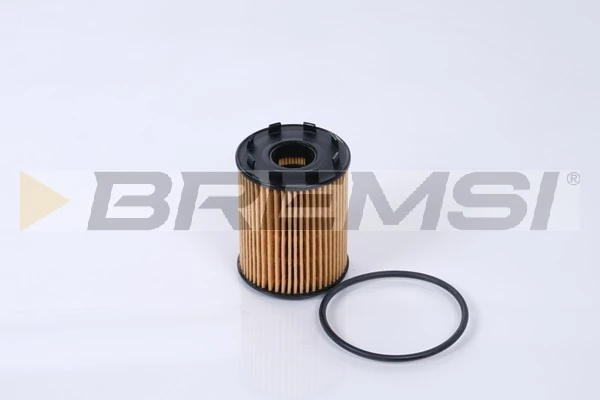FL0291 Bremsi