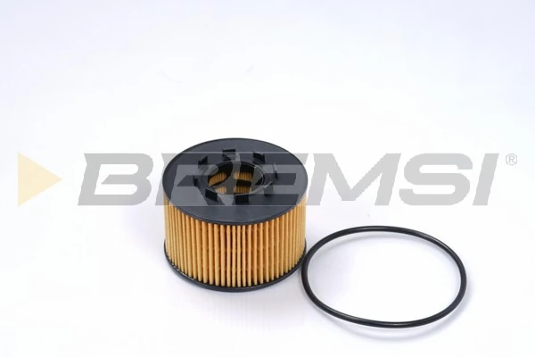 FL0259 Bremsi