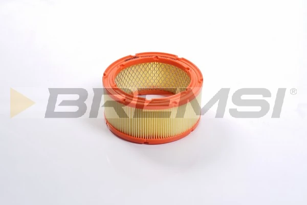 Filtro de ar General Motors 880181