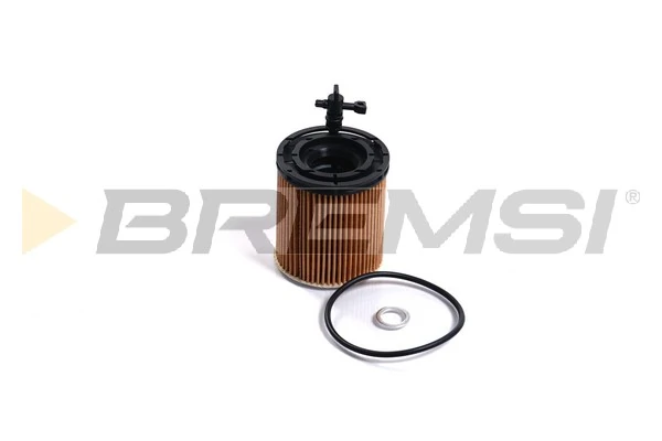 FL2507 Bremsi