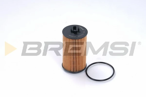 FL0006 Bremsi