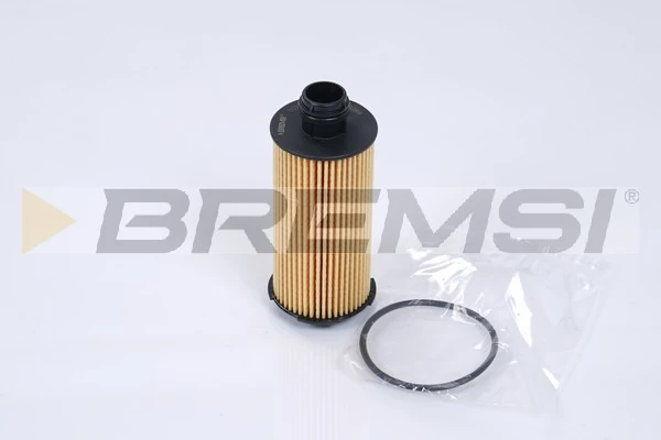 FL0289 Bremsi