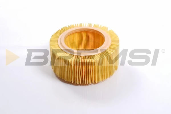 Filtro de ar Ford 123E9601D