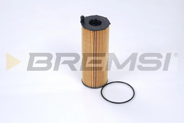 FL0275 Bremsi