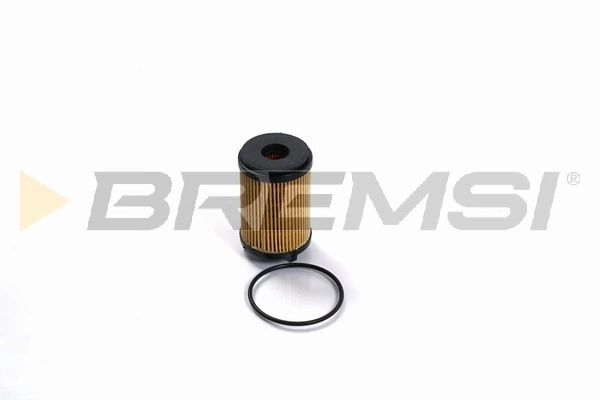 FL2483 Bremsi