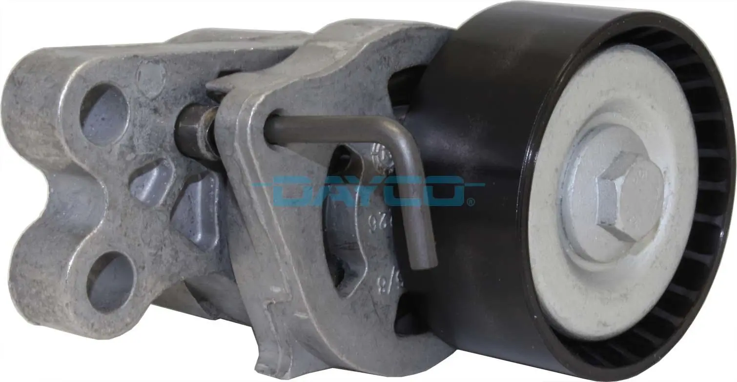 APV2547 Dayco