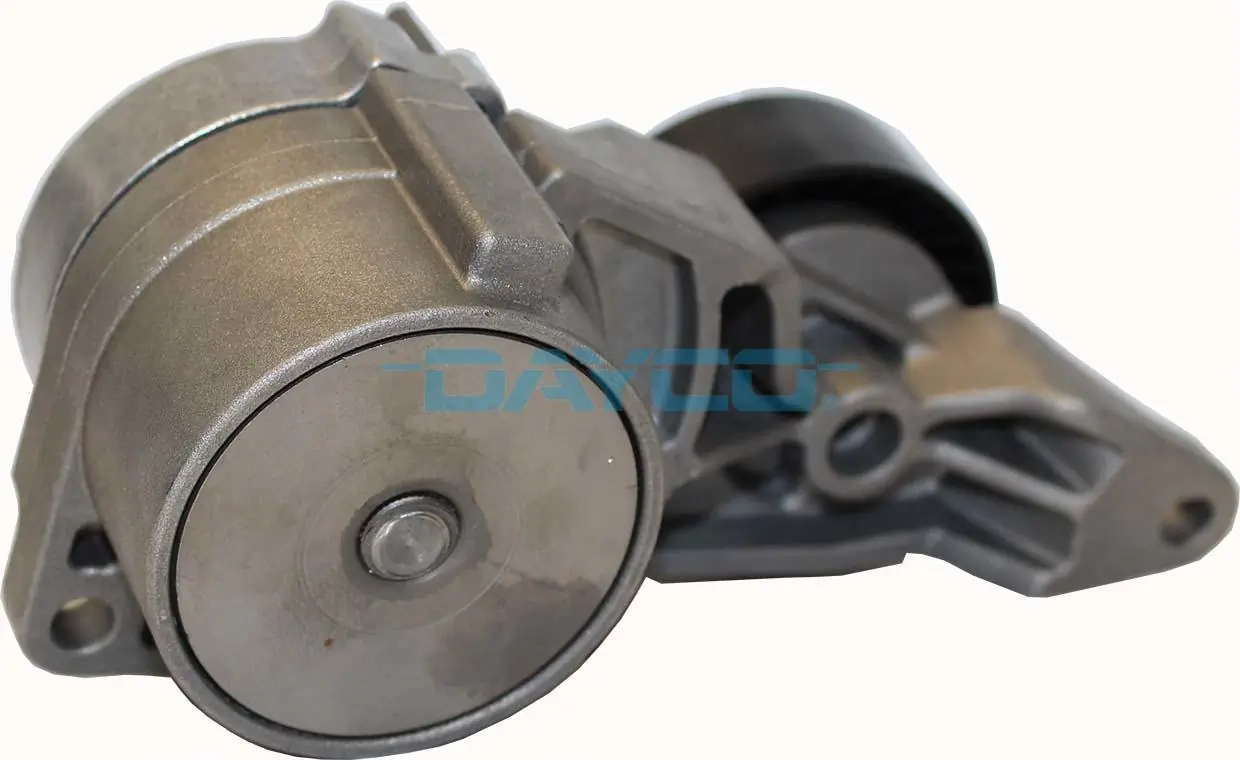 APV2562 Dayco
