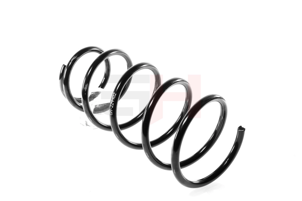 Compre GH224402 GH Mola traseira