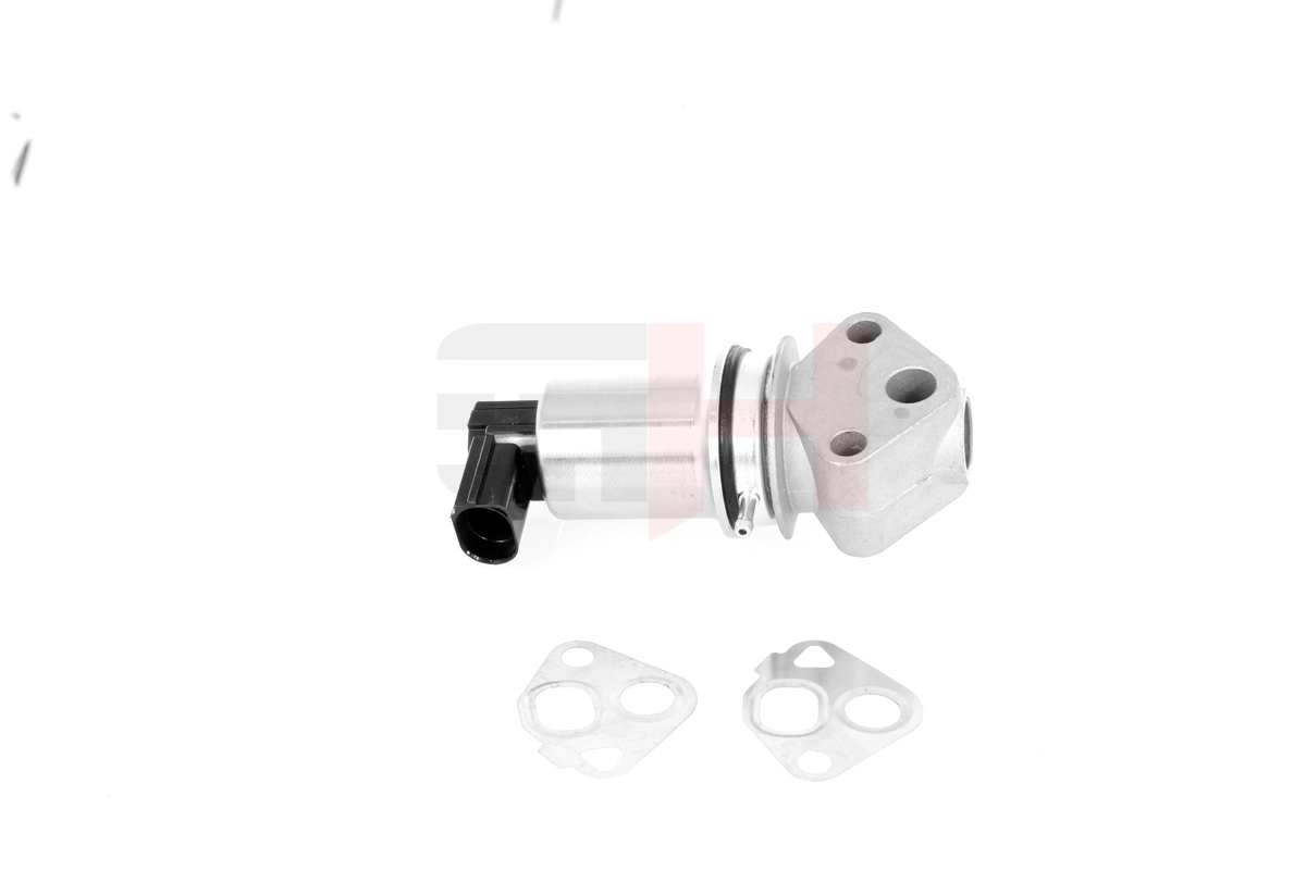 Compre Válvula EGR de recirculação dos gases Seat Cordoba 