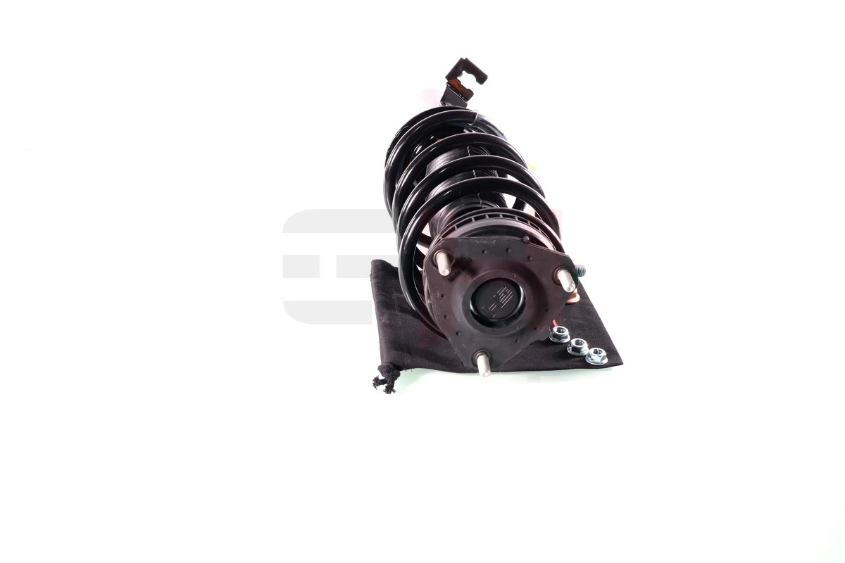 GH352555C01 GH Mola dianteira