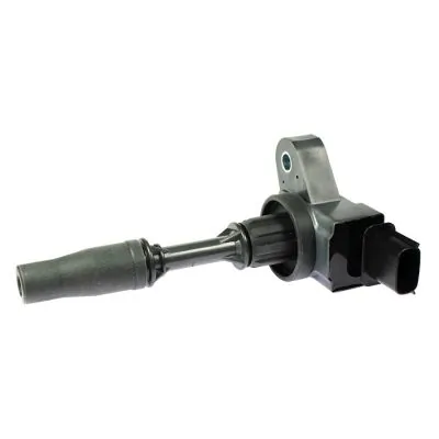GC4218 Gauss
