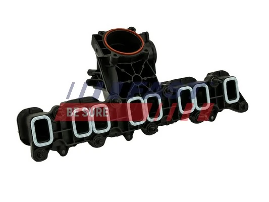 FT49556 Fast