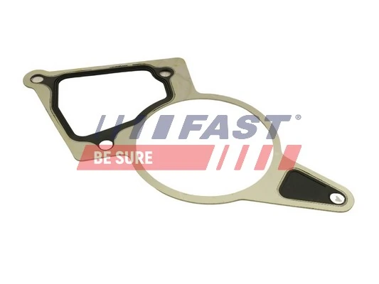 Vedante de bomba de vácuo 9676973280 Fiat/Alfa/Lancia