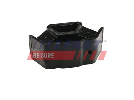 Coxim (suporte) traseiro de motor para Iveco Daily III 