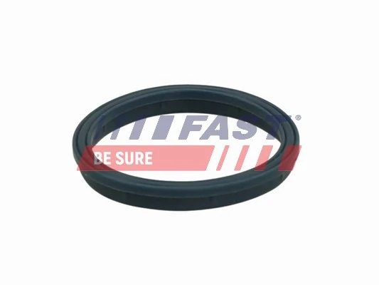 FT49407 Fast