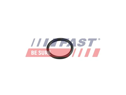 FT49856 Fast